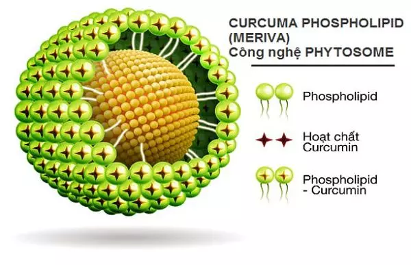 Curcumin phytosome